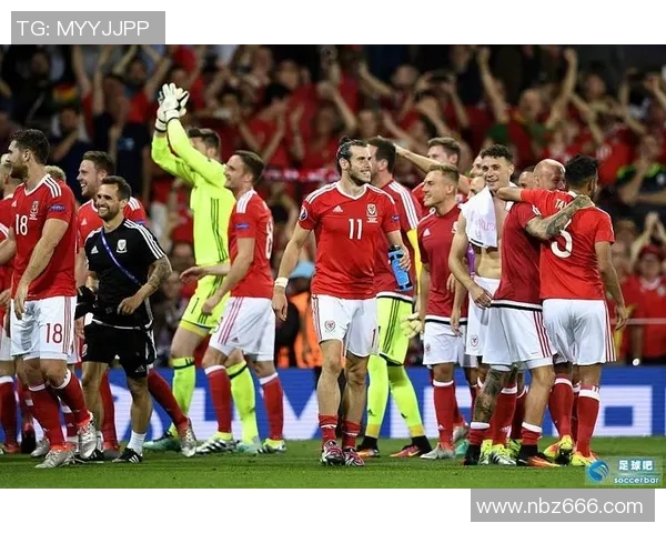 斯坦科维奇执教下的中国队与法国队的精彩对决分析与展望