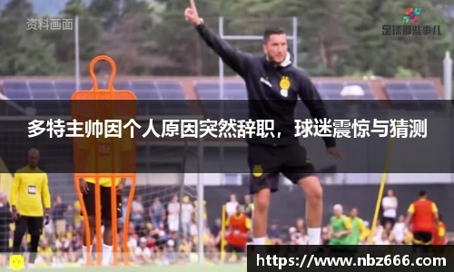yy易游
